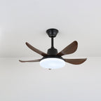 Lucas Ceiling Fan Light — product view 5