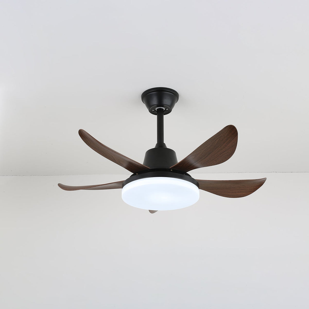 Lucas Ceiling Fan Light — product view 5
