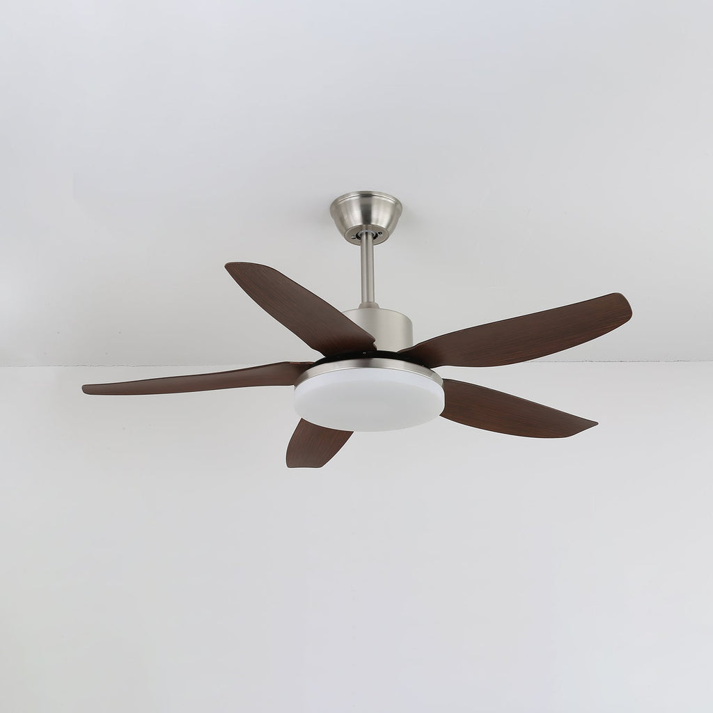 Sofia Ceiling Fan Light — product view 4