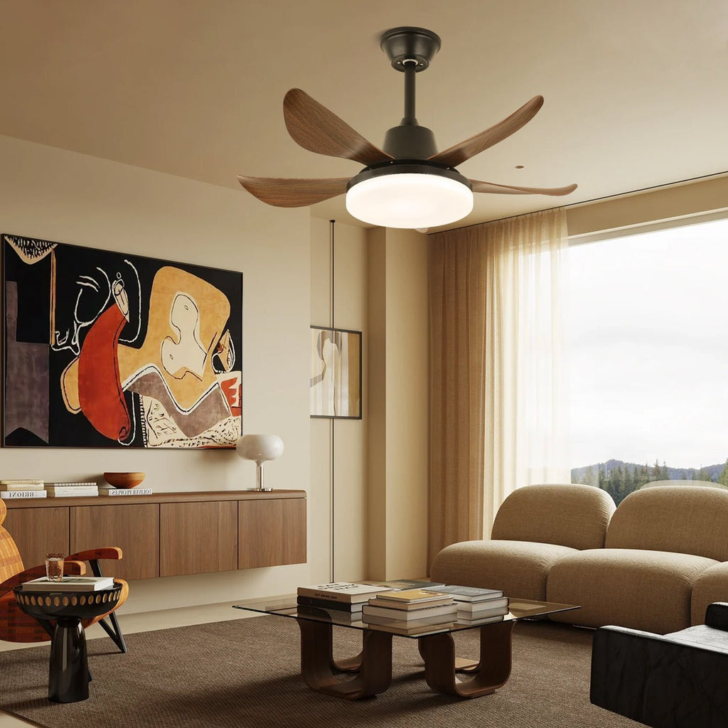 Lucas Ceiling Fan Light — product view 3