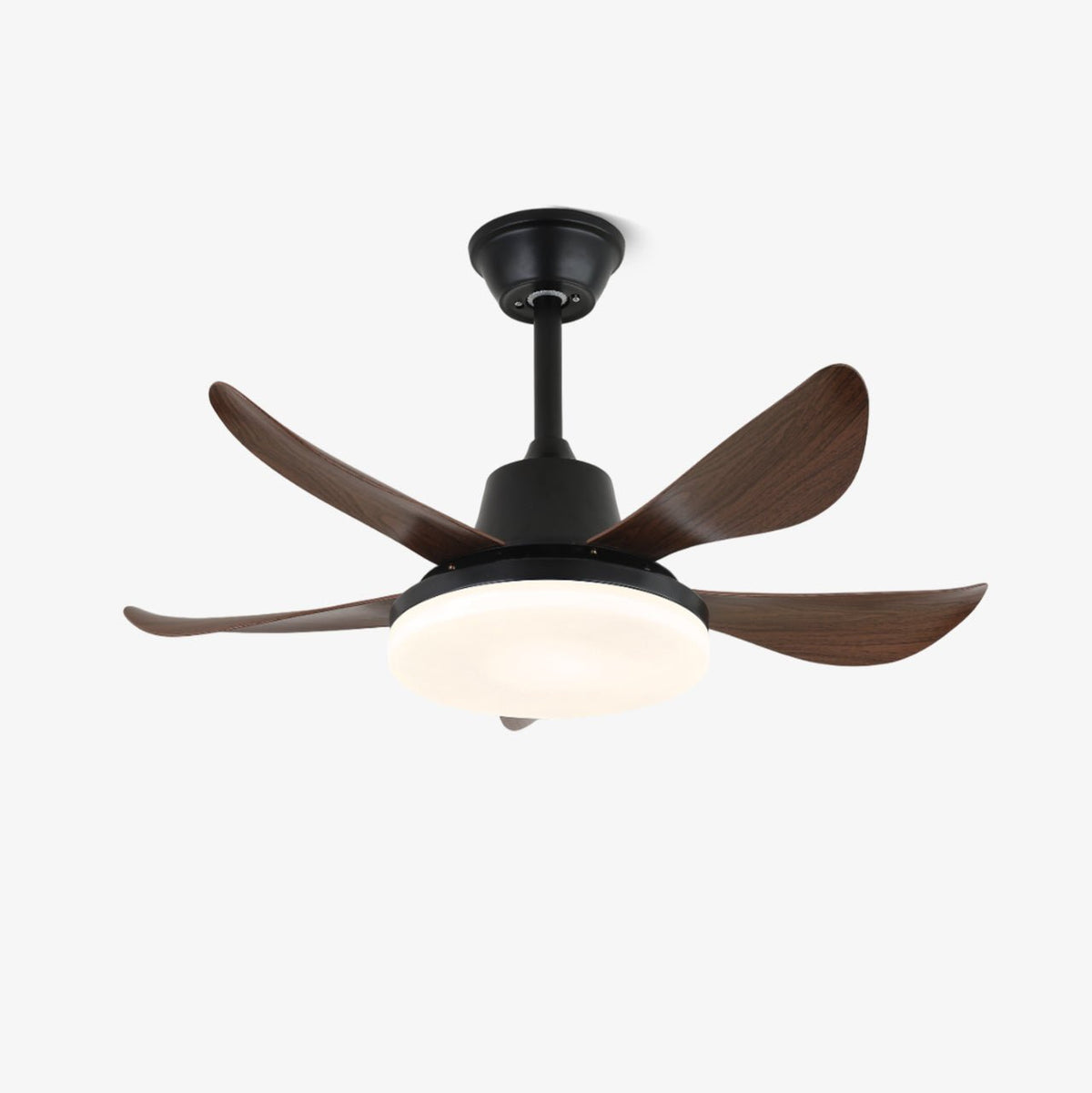 Lucas Ceiling Fan Light — product view 1