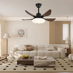 Lucas Ceiling Fan Light — product view 2