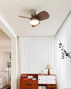 Talaya Ceiling Fan Light — product view 18