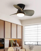Talaya Ceiling Fan Light — product view 7