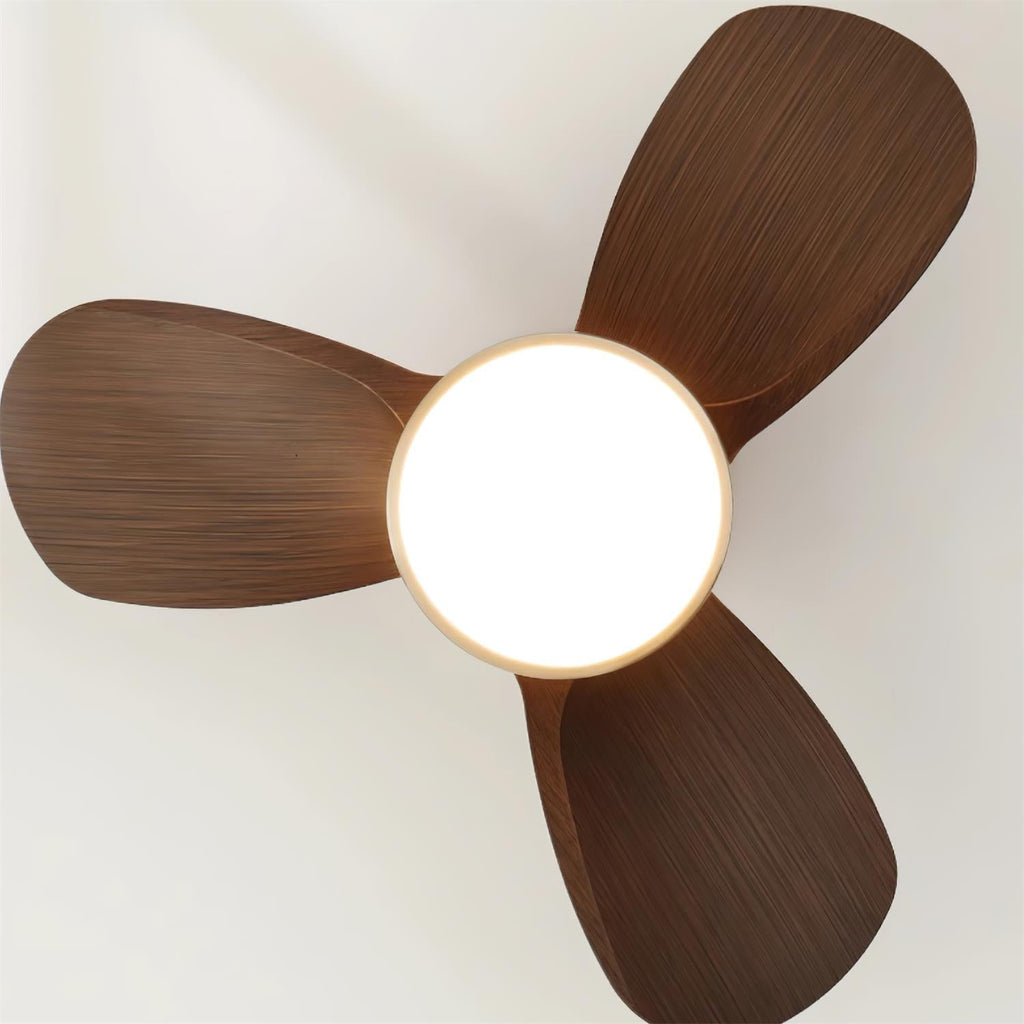 Talaya Ceiling Fan Light — product view 8