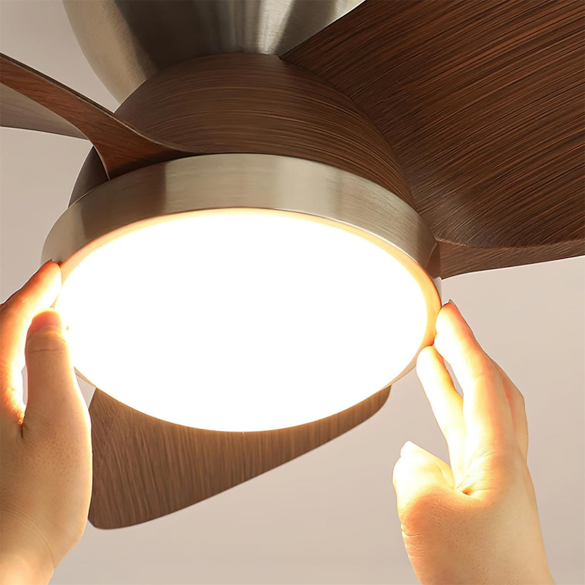 Talaya Ceiling Fan Light — product view 10