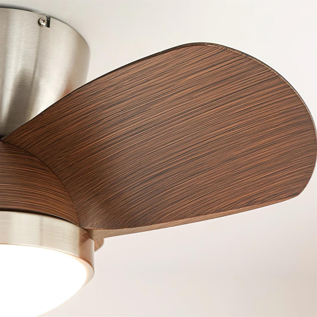 Talaya Ceiling Fan Light — product view 11