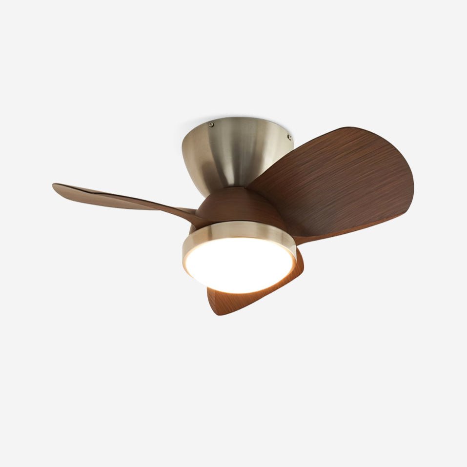 Talaya Ceiling Fan Light — product view 1