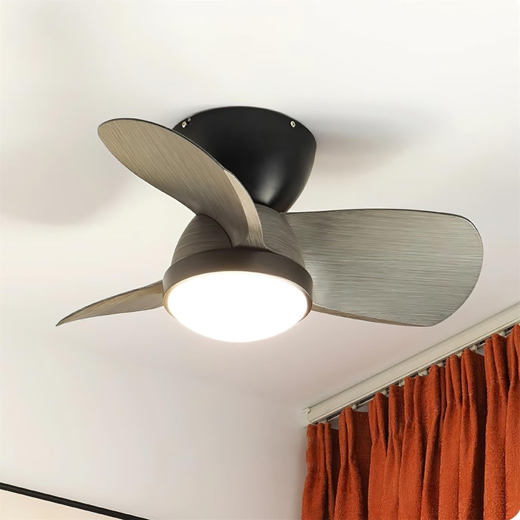 Talaya Ceiling Fan Light — product view 16