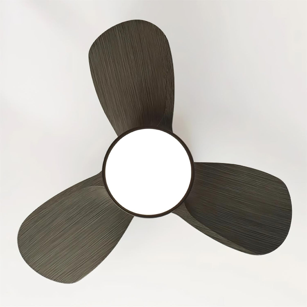 Talaya Ceiling Fan Light — product view 4