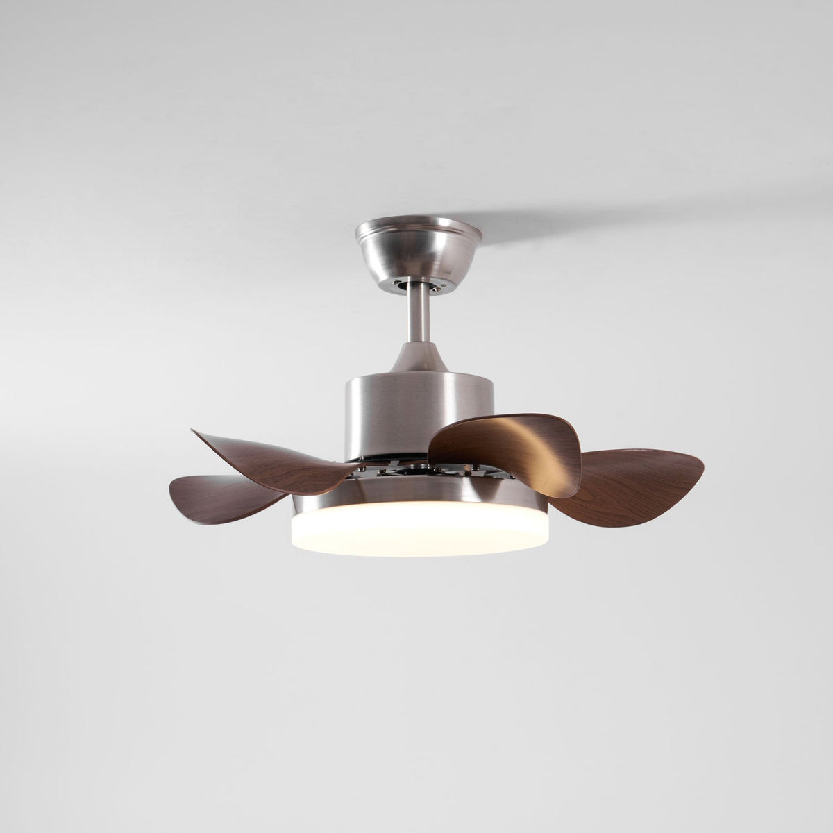Terra Walnut Ceiling Fan Light — product view 12