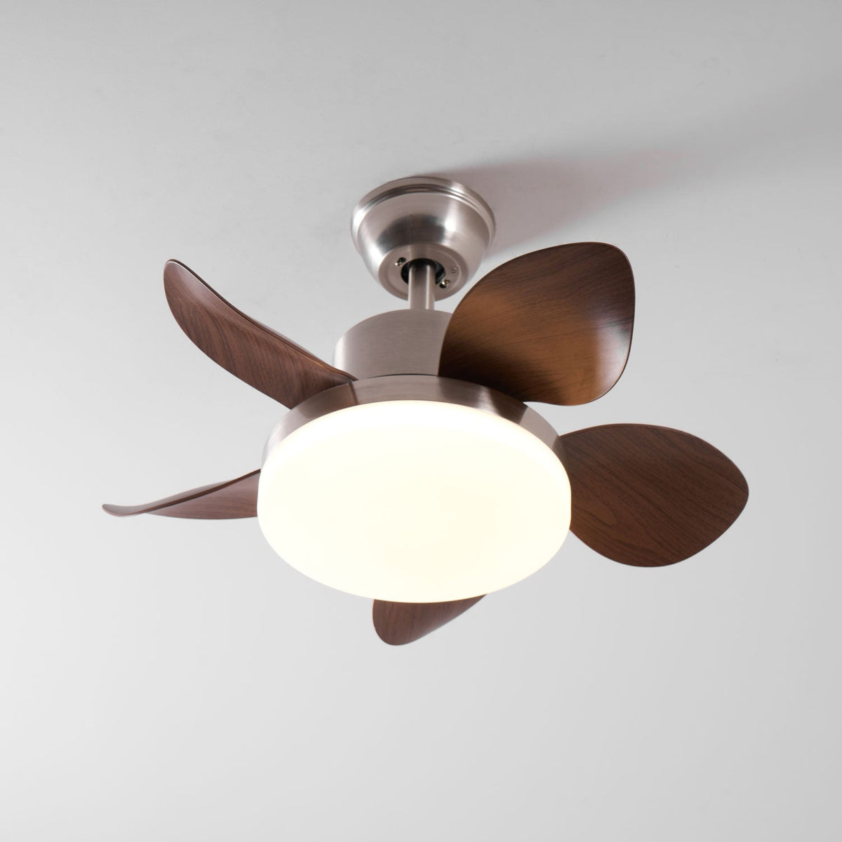 Terra Walnut Ceiling Fan Light — product view 13