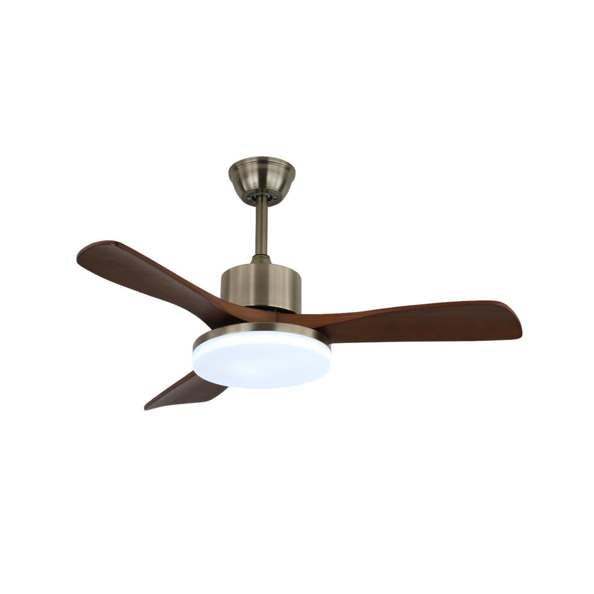 Vega Ceiling Fan Light — product view 5