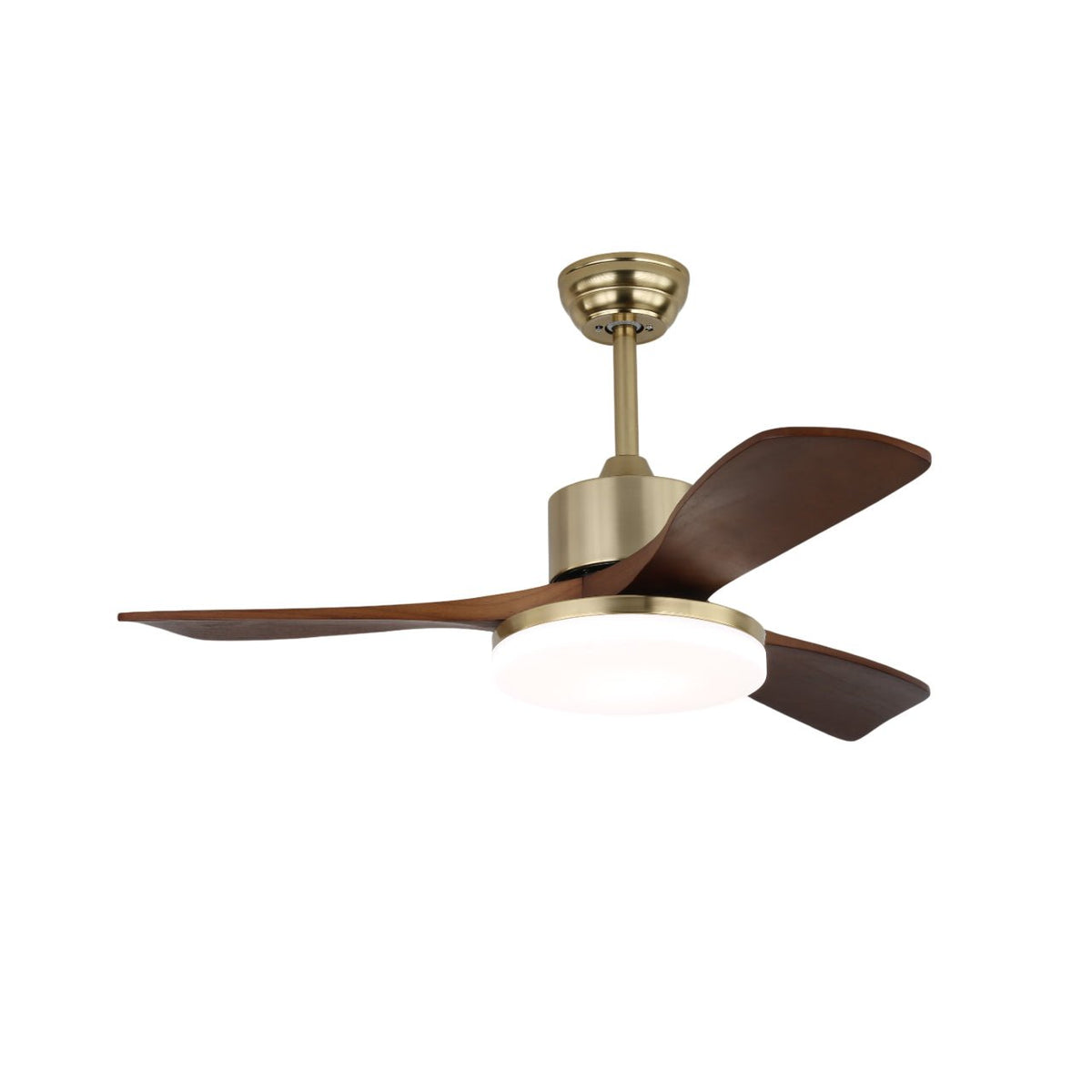 Vega Ceiling Fan Light — product view 7