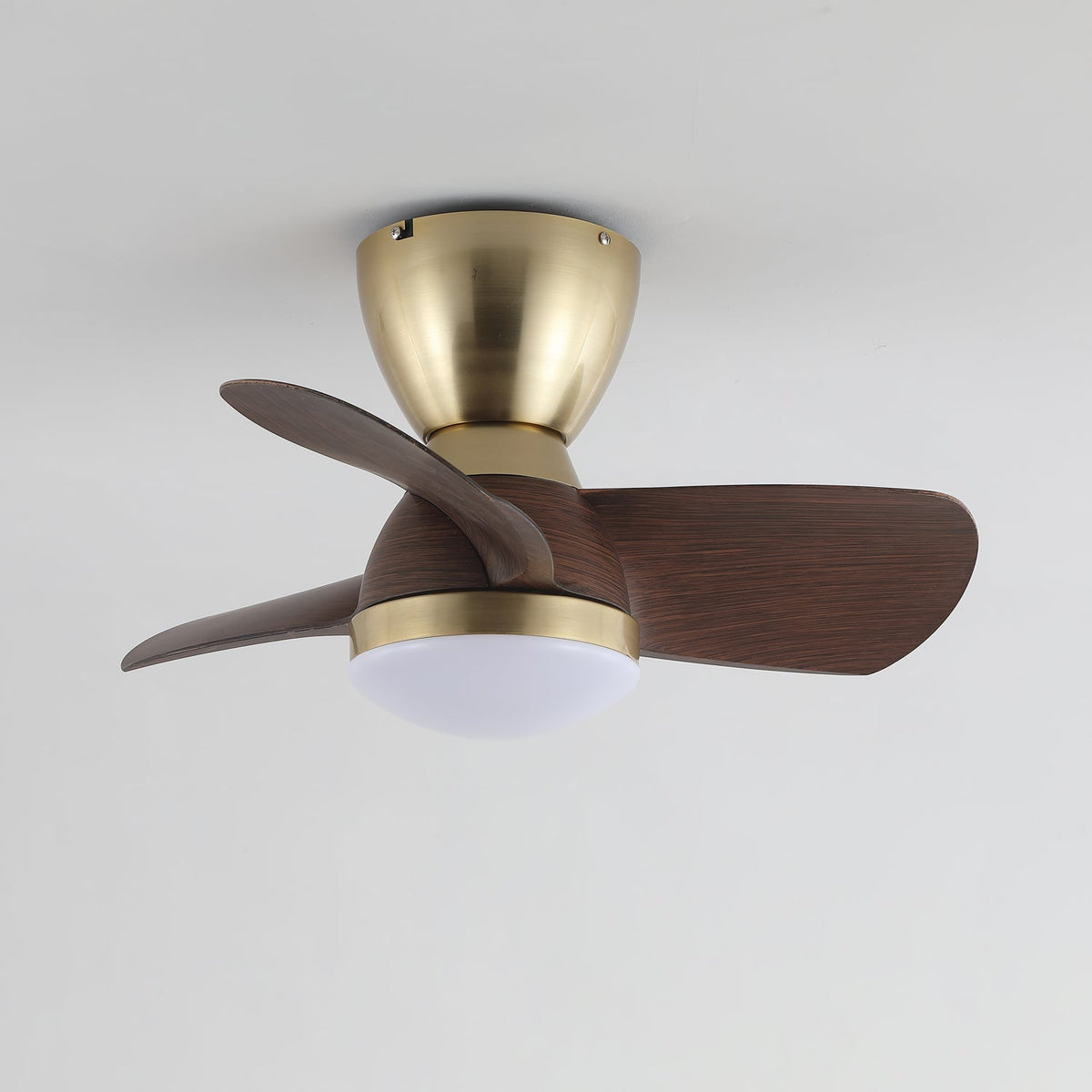 Velis Ceiling Fan Light — product view 14
