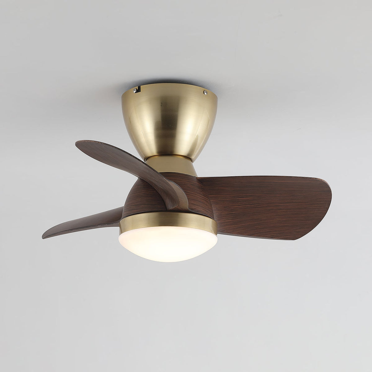Velis Ceiling Fan Light — product view 15