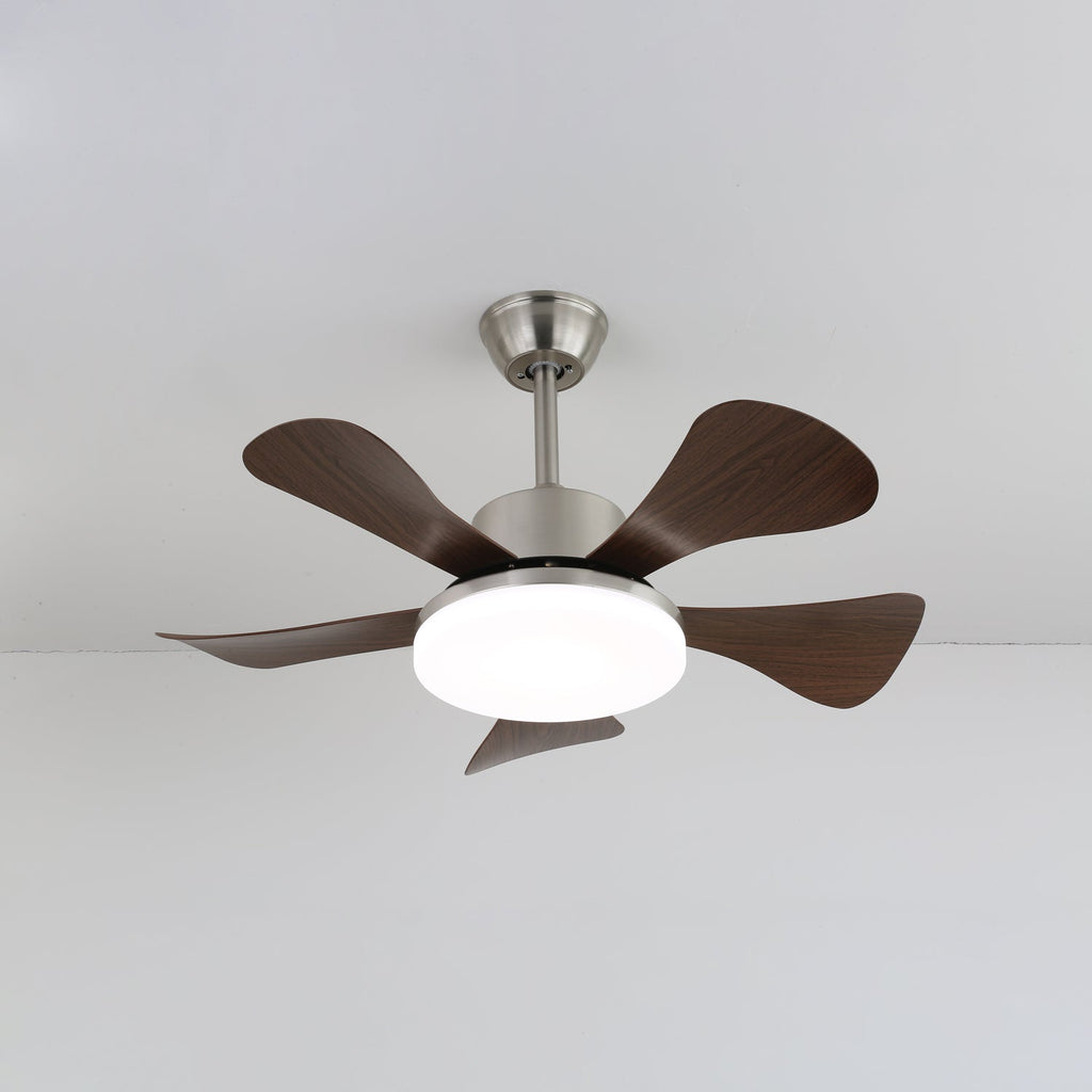 Vivian Ceiling Fan Light — product view 5