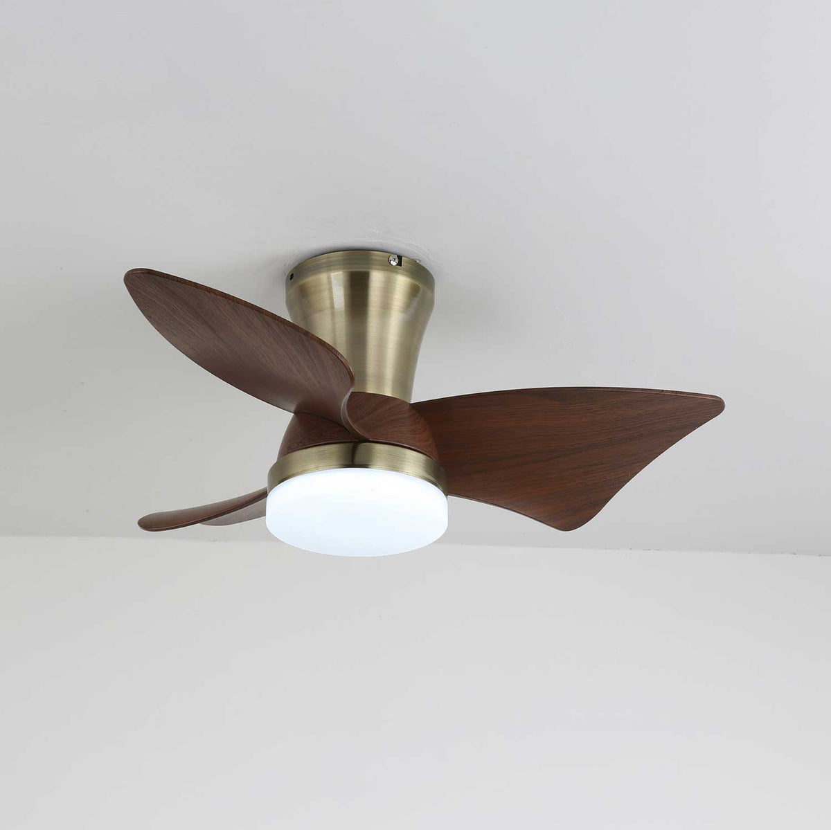 Zephyr Crest Ceiling Fan Light — product view 6