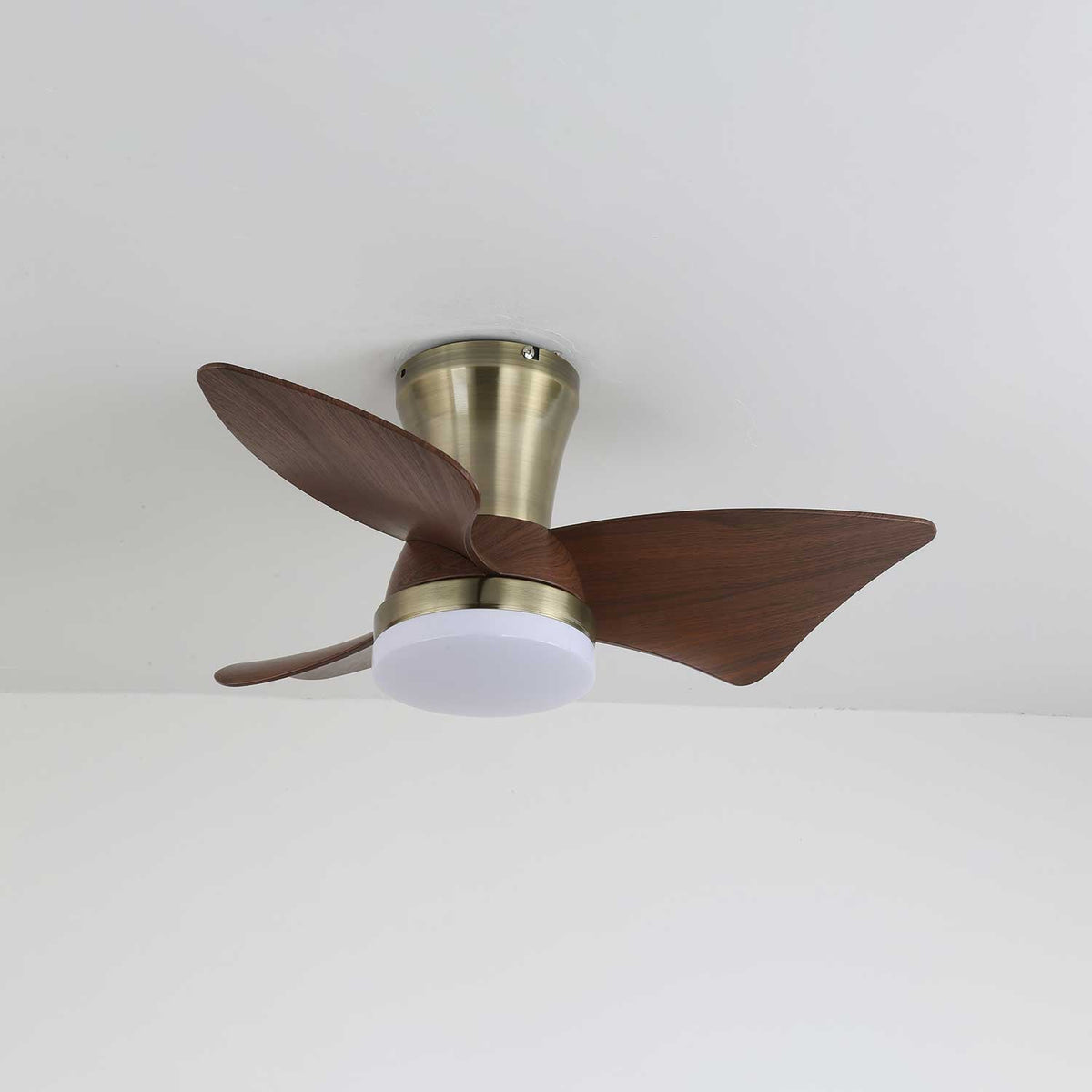 Zephyr Crest Ceiling Fan Light — product view 8