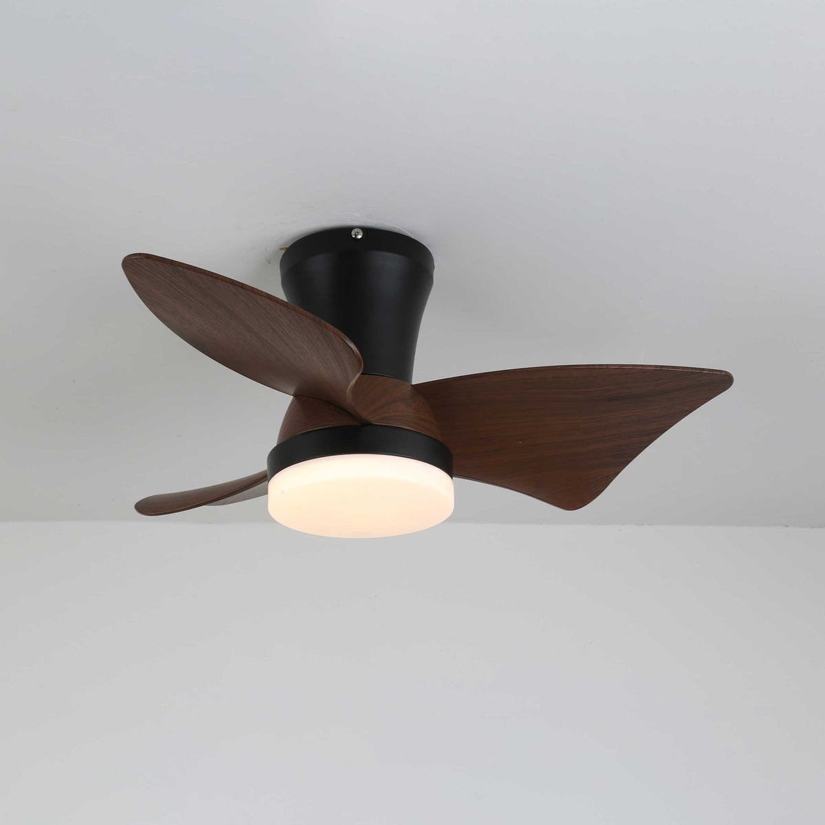 Zephyr Crest Ceiling Fan Light — product view 10