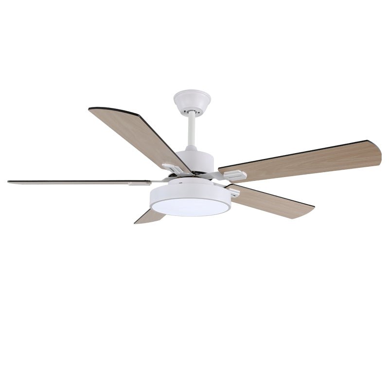Zephyris Ceiling Fan Light — product view 10